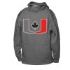 ATC™ PTECH® FLEECE YOUTH HOODIE Thumbnail